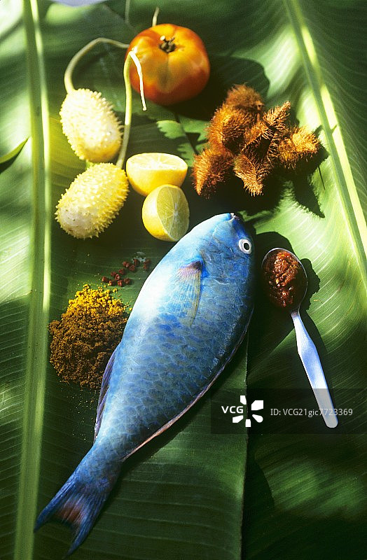 香料柠檬番茄胭脂树鹦鹉鱼图片素材