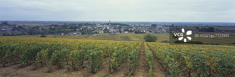 法国勃艮第博讷丘默尔索图片素材