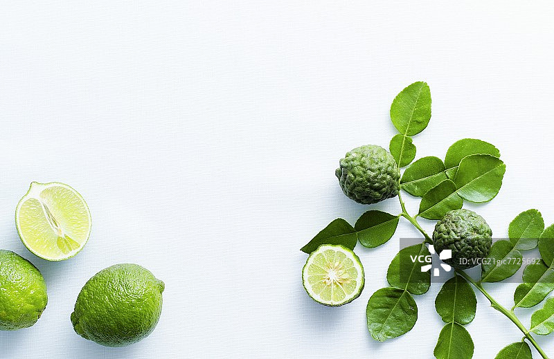 青柠和卡菲尔青柠图片素材