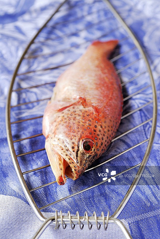 用于烧烤的生鱼图片素材