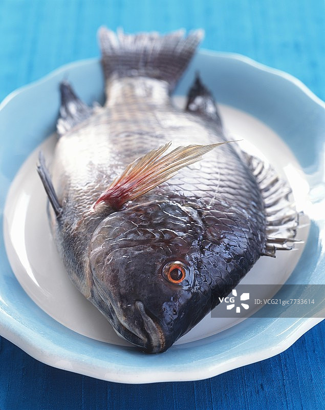 盘中的整只生 snapper 鱼图片素材