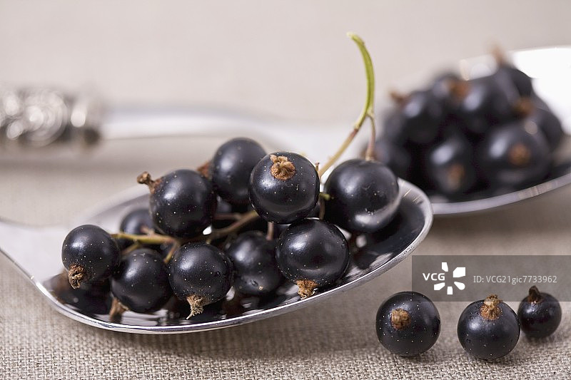 两把勺子上的加仑子图片素材