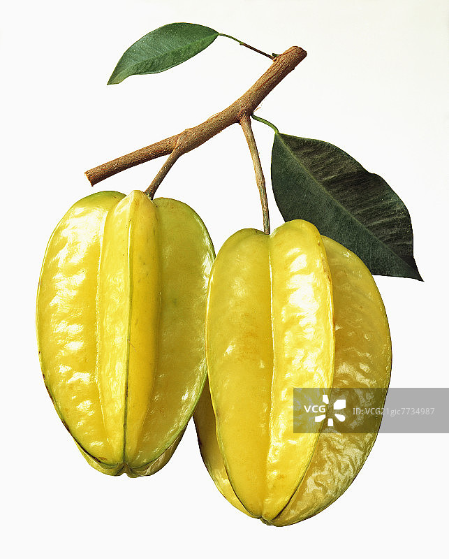 两颗杨桃与树枝图片素材