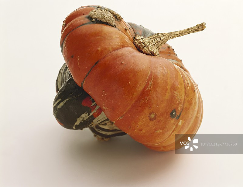 特写镜头下的一个土耳其南瓜图片素材