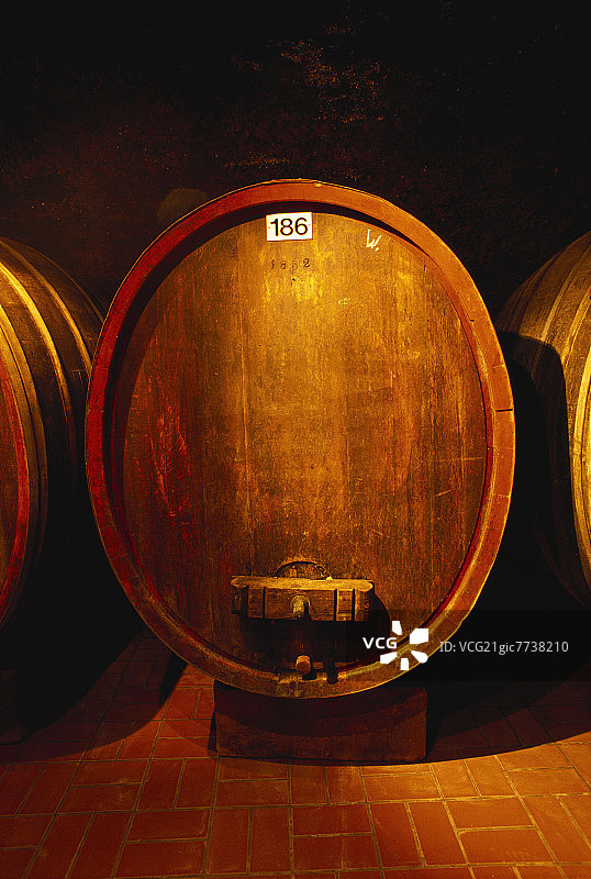 摩泽尔河和莱茵河的典型大桶图片素材