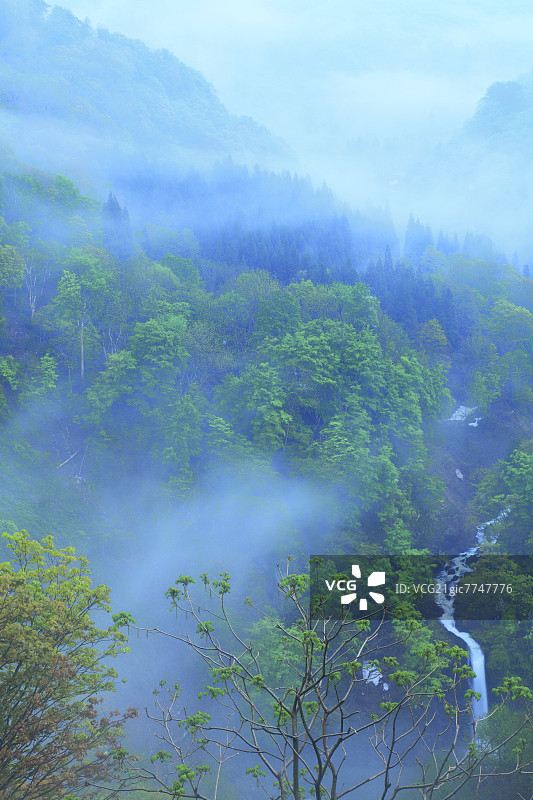 山形县月山上的晨雾图片素材