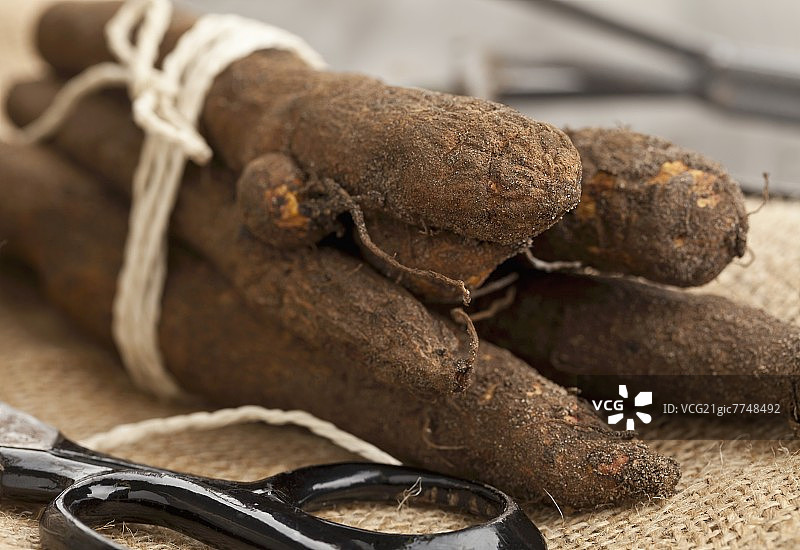 一堆新鲜收获的黑婆罗门参图片素材