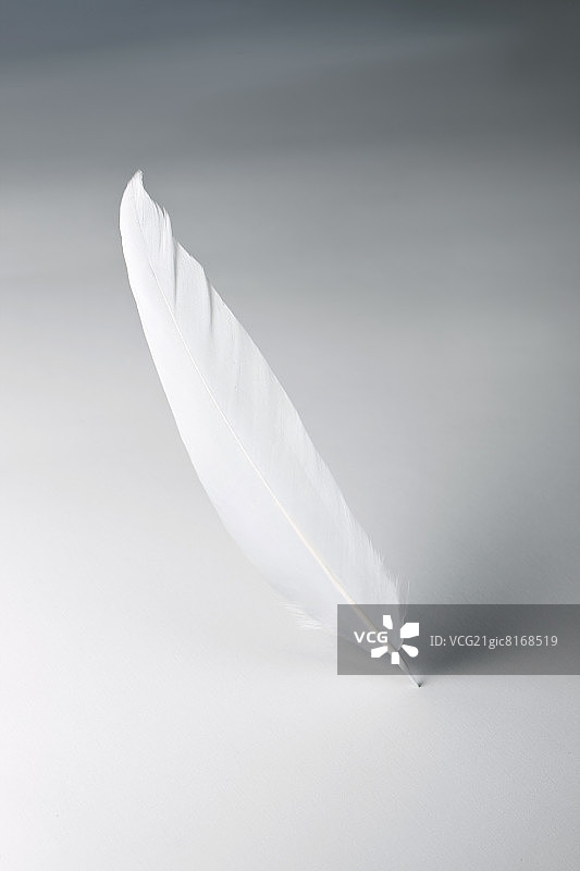 MB照片209图片素材