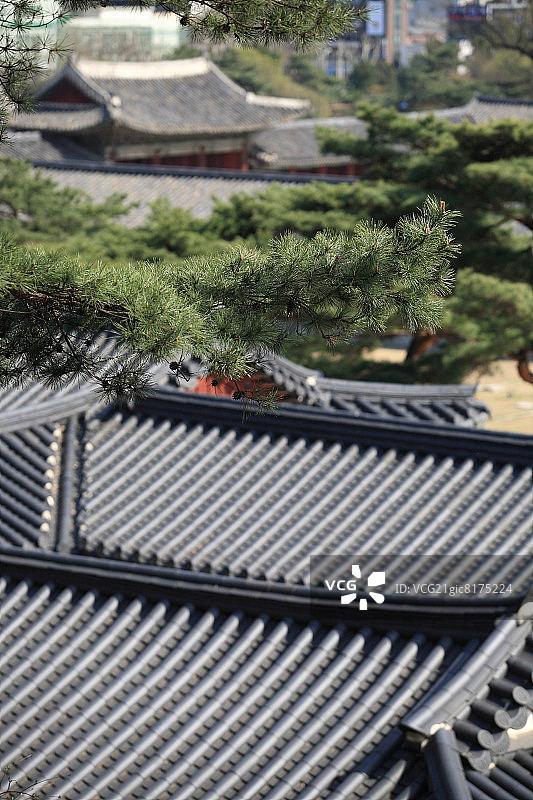 昌庆宫图片素材