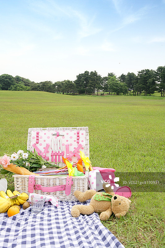 野餐毯上的野餐篮图片素材