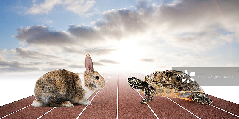 龟兔赛跑图片素材