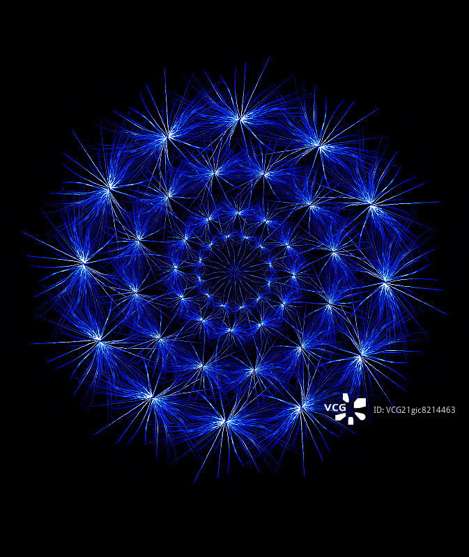 马勃菇图片素材