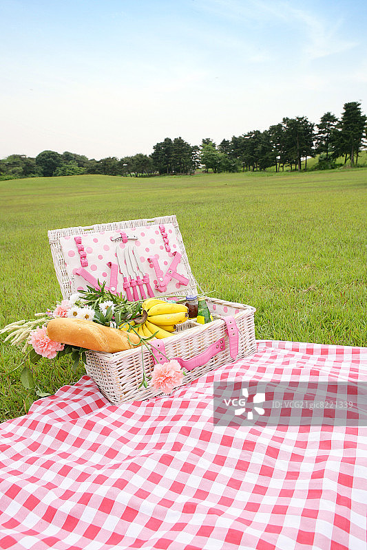 野餐毯上的野餐篮图片素材
