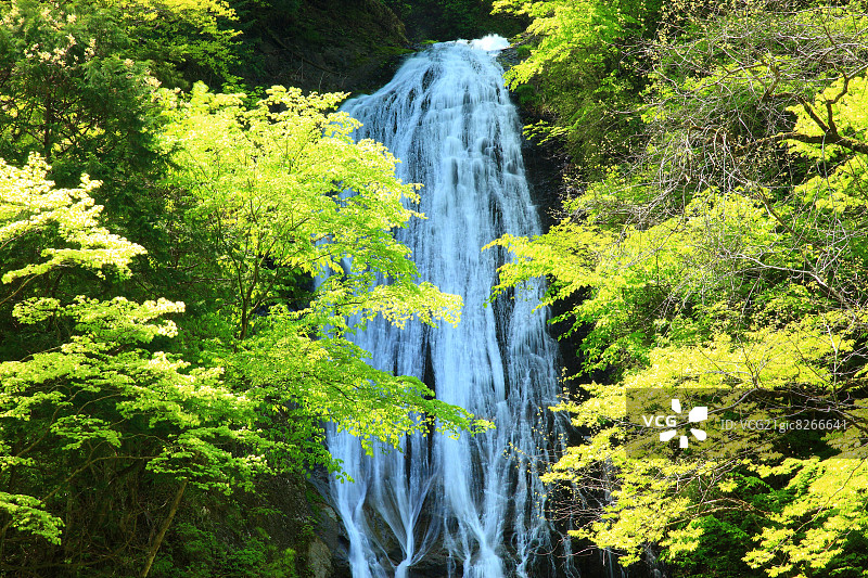 埼玉县丸上瀑布图片素材