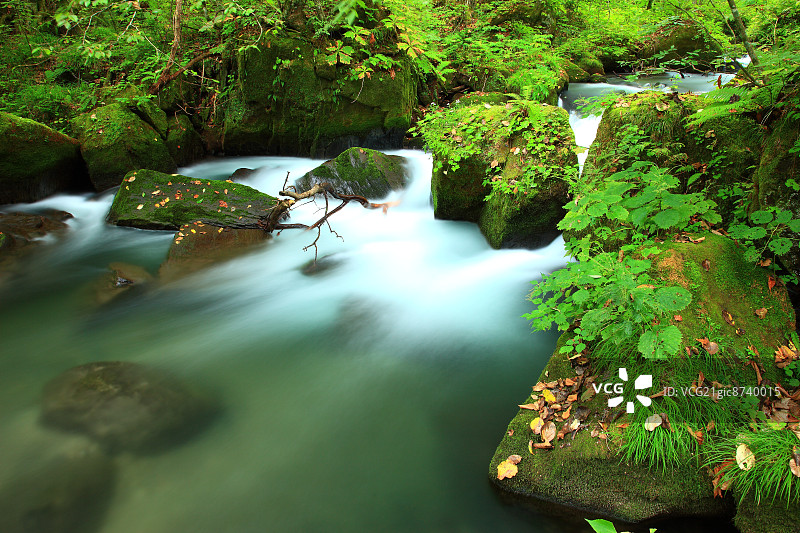 青森县奥入濑山涧图片素材