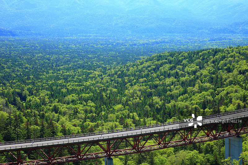 北海道松见桥与树木图片素材