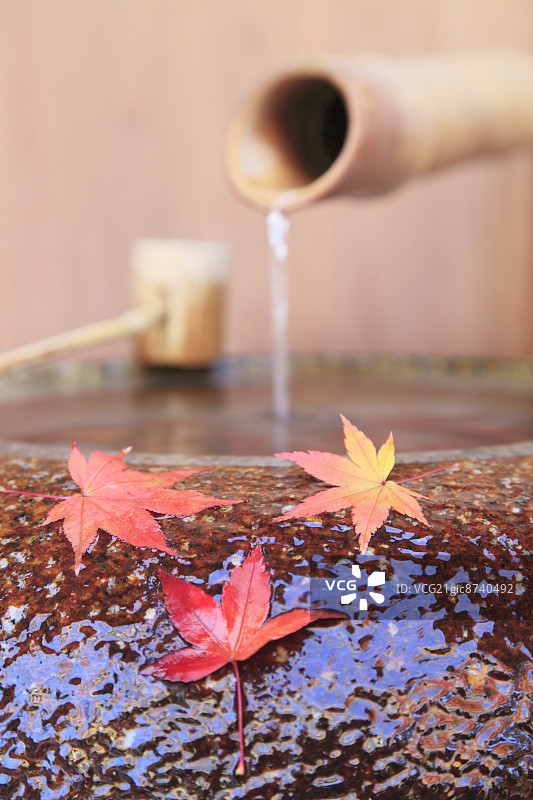 静冈县的水碗与红枫叶图片素材