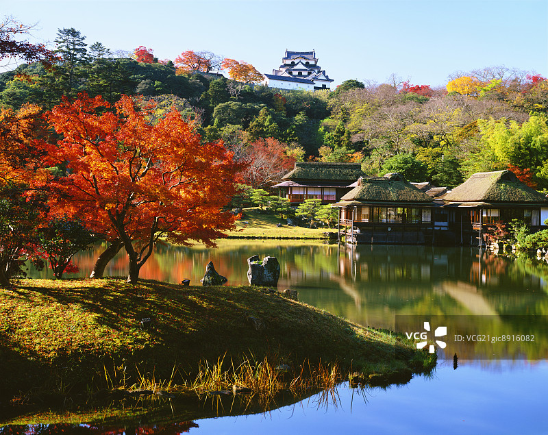 日本滋贺县彦根城图片素材