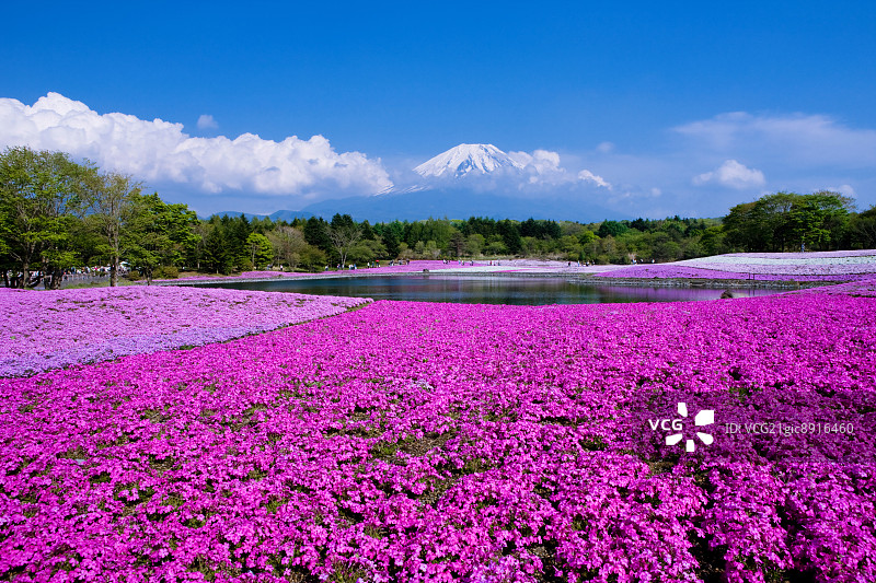 日本山梨县本栖湖风光图片素材