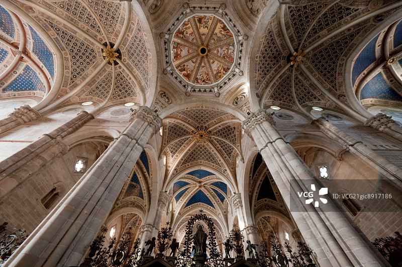 意大利帕维亚的帕维亚卡尔特修道院图片素材