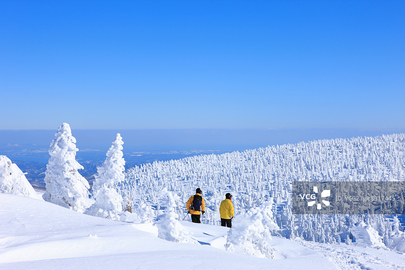 日本青森县八甲田山的柔和霜冻图片素材