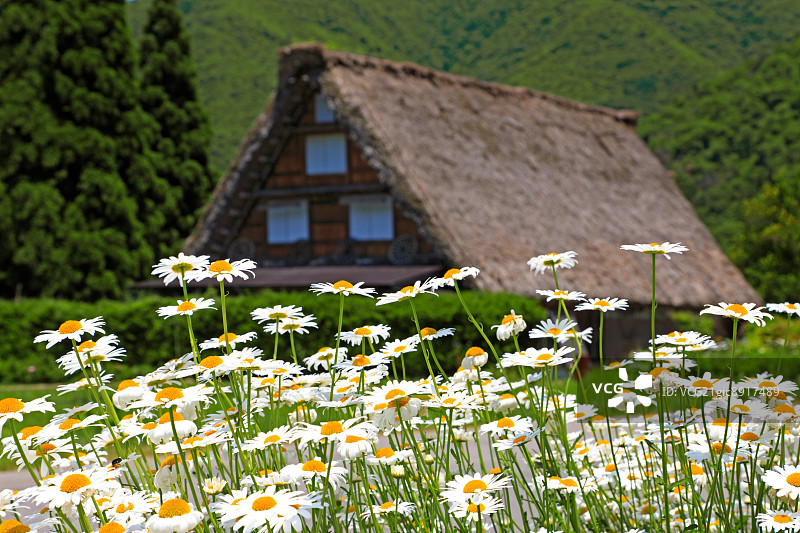 日本岐阜县白川图片素材