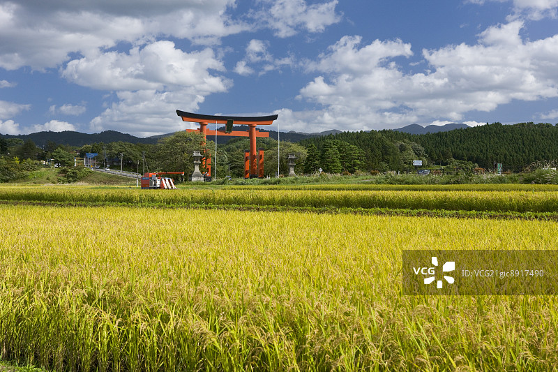 日本山形县羽黑山神社图片素材