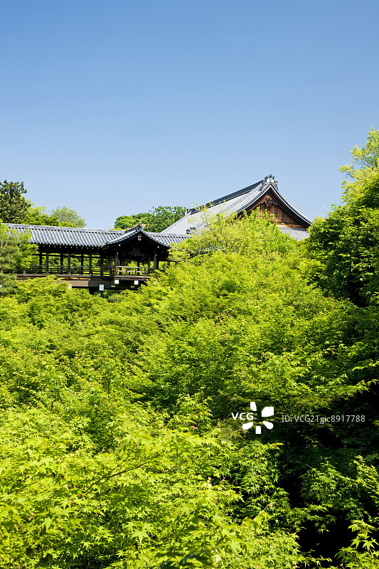 日本京都东福寺通天桥图片素材