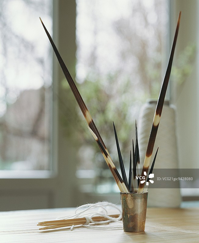 金属杯中的动物尖刺图片素材