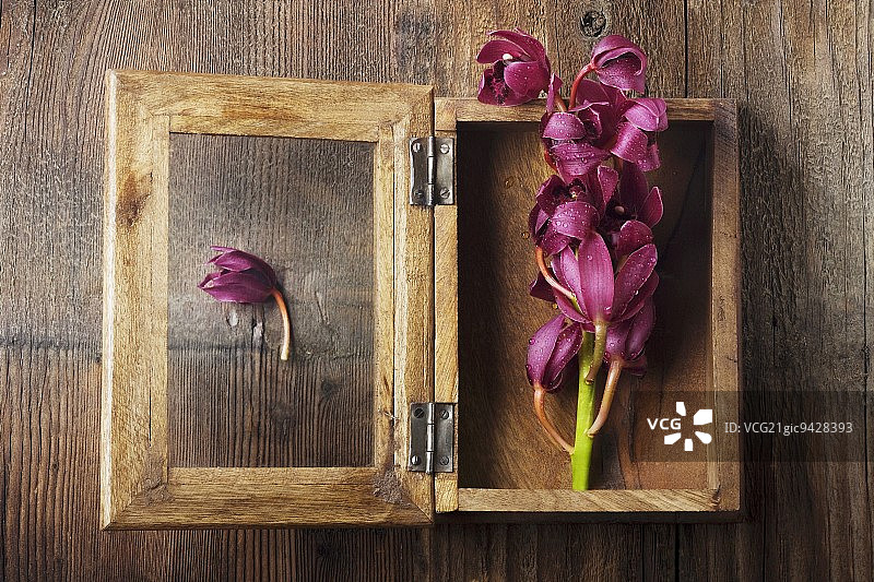 木制盒中的粉色兰花图片素材