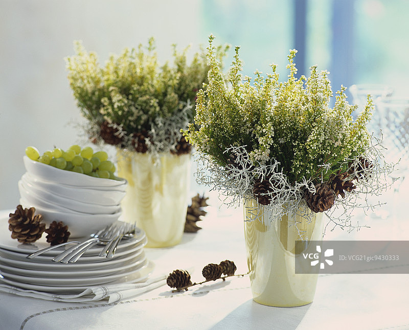 石楠花与银叶纽扣花和冷杉、落叶松球果图片素材