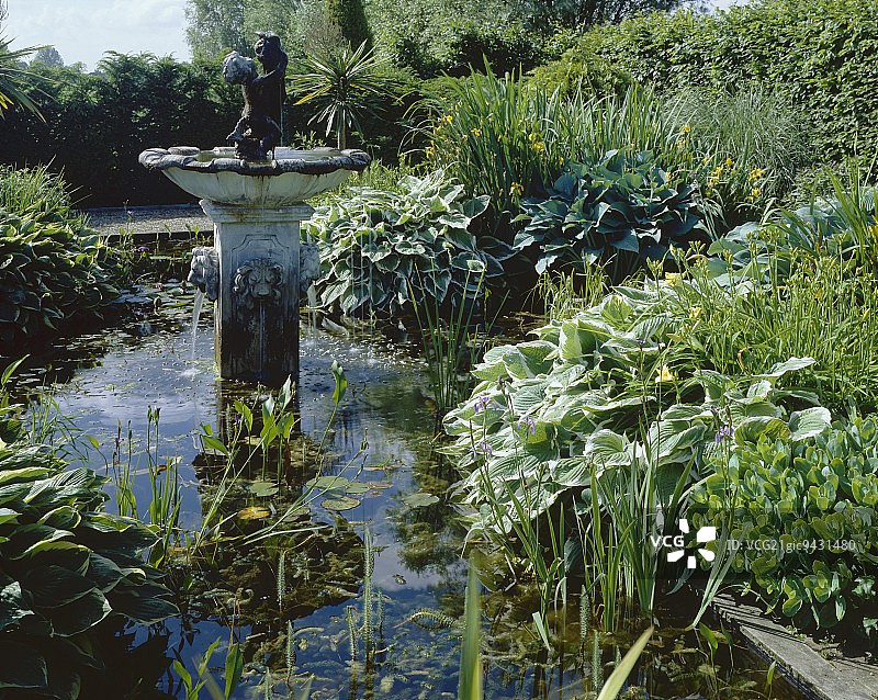 带喷泉的花园池塘图片素材