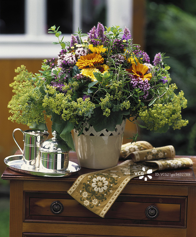 多种草药植物花束图片素材