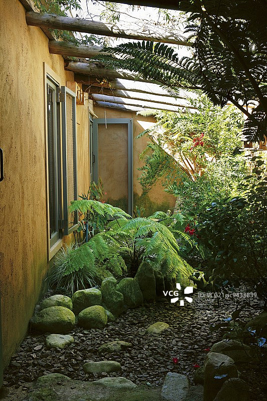 房屋外墙岩石花园中的蕨类植物图片素材