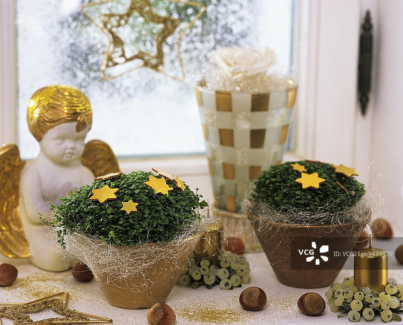 圣诞节装饰窗台上的“专注你的事业”图片素材