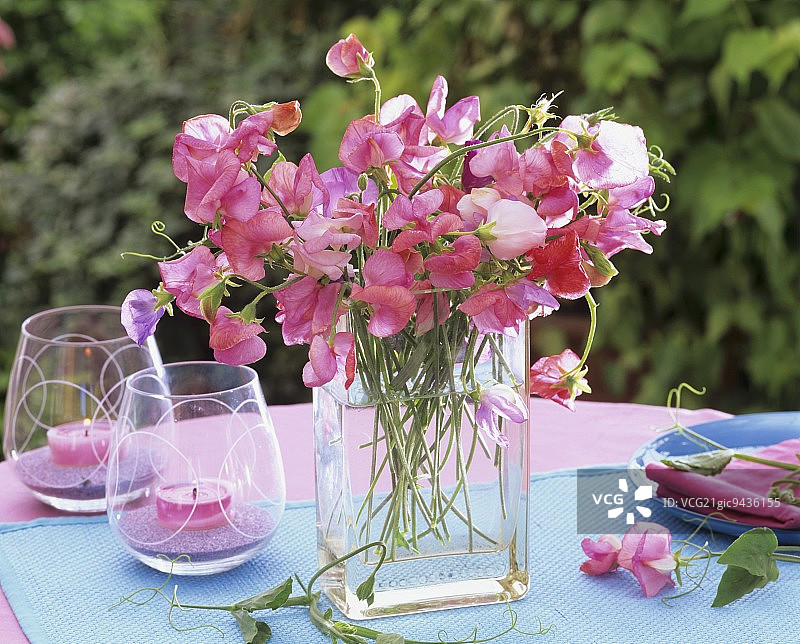 方形花瓶和风灯中的香豌豆花束图片素材