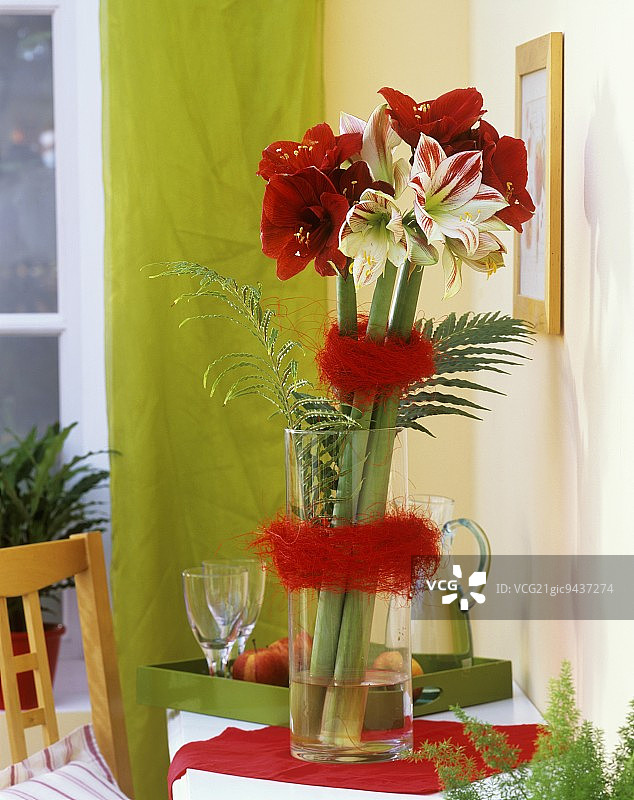 花瓶里的朱顶红图片素材