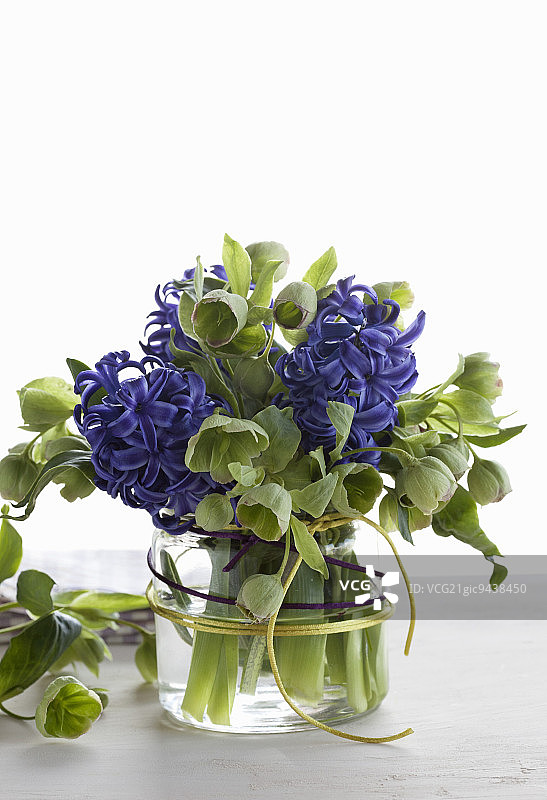 风信子和铁筷子花图片素材