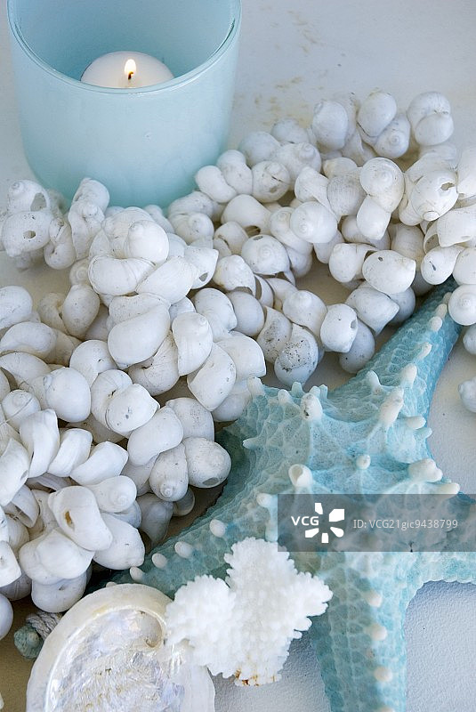 蓝色海星、贝壳和茶灯图片素材