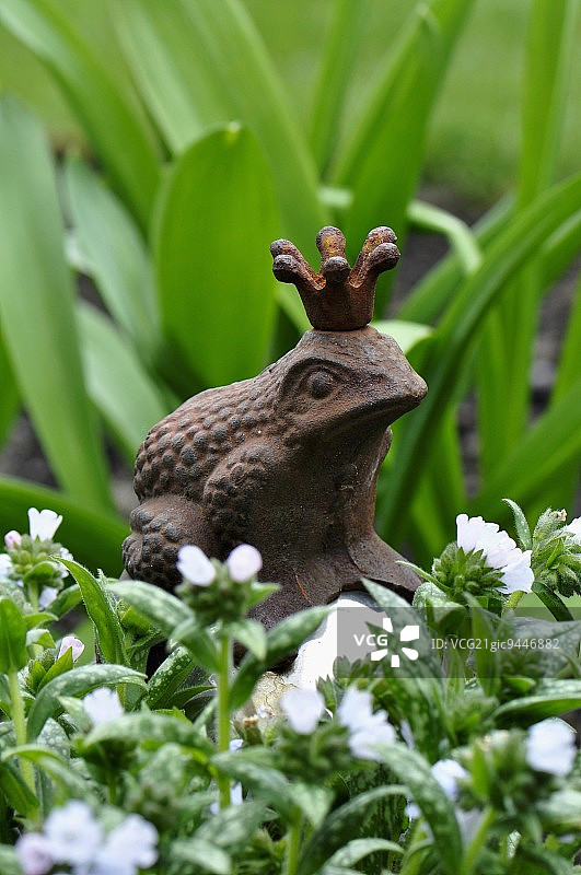 肺草和葱叶之间的装饰青蛙摆件图片素材