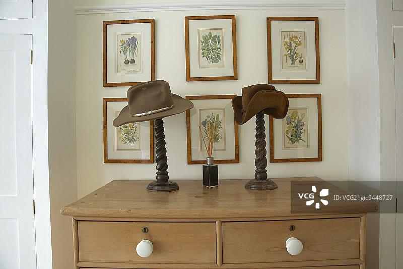 挂在墙上的植物画和摇床风格的抽屉柜图片素材