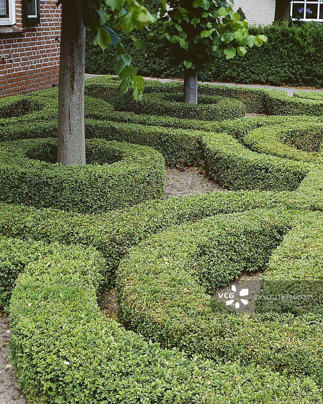 黄杨树篱绳结花园图片素材