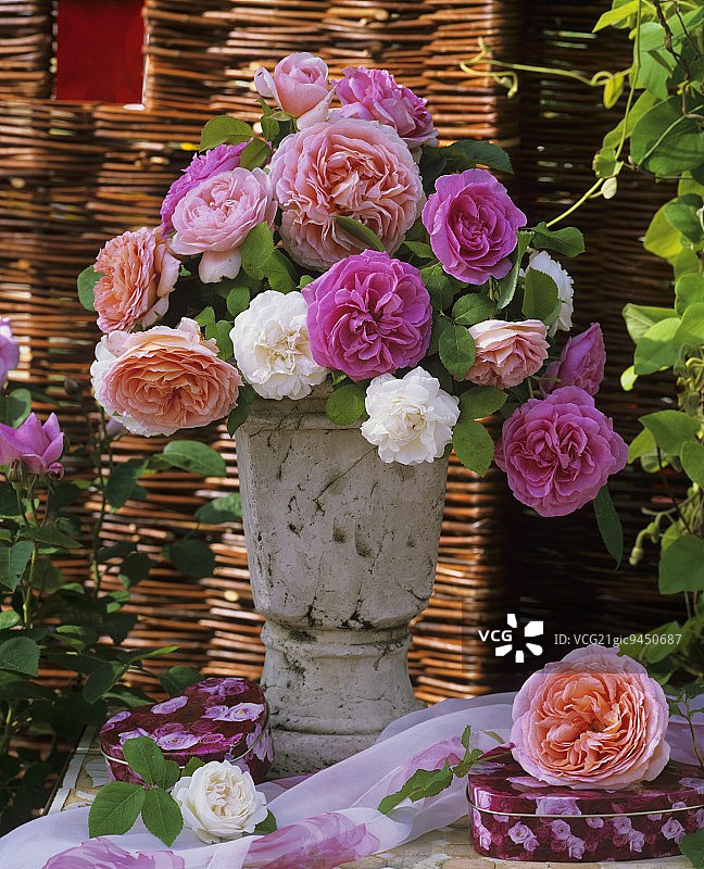 花瓶里的香水英国玫瑰图片素材