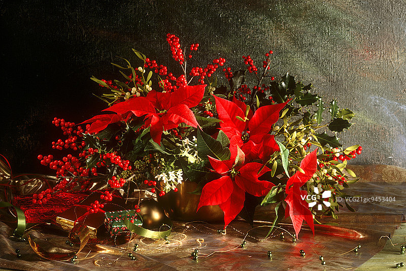 圣诞星圣诞花束图片素材