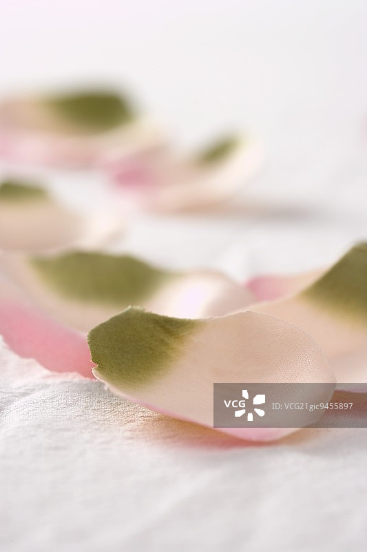 多片玫瑰花瓣图片素材