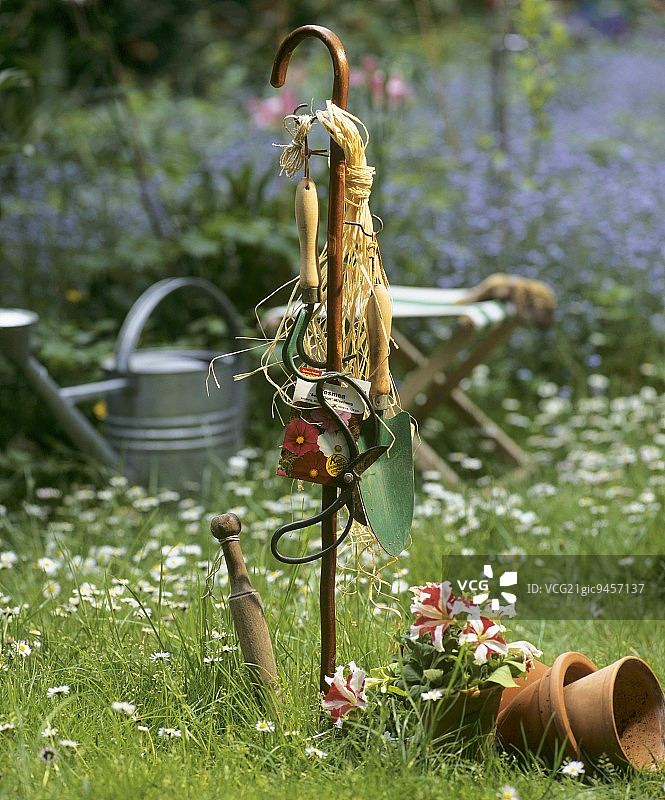 挂在大草坪上的棍子上的园艺工具图片素材