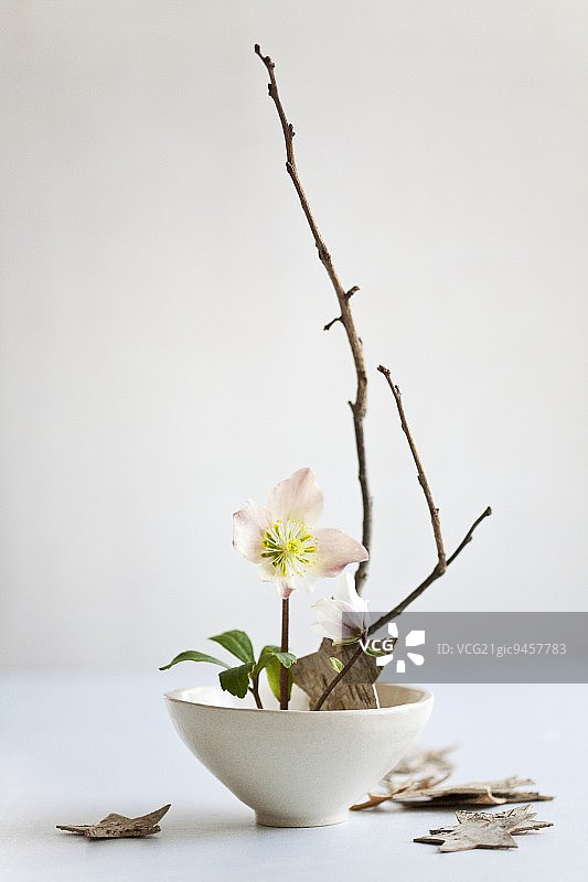 铁筷子花日式插花图片素材