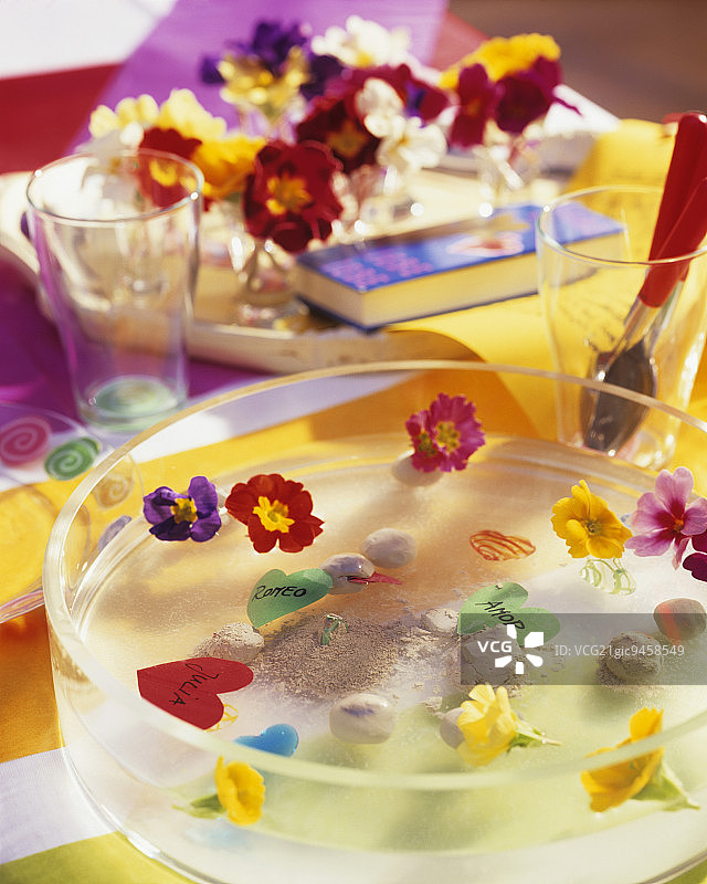 用报春花装饰的彩色儿童餐桌图片素材