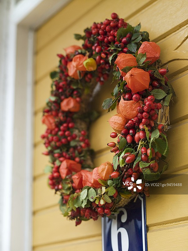 挂在门上的灯笼果和蔷薇果花环图片素材