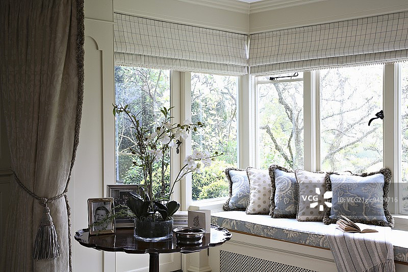 舒适的窗边座位与盆栽兰花图片素材